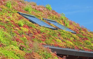 Dullingham Ley living roof systems