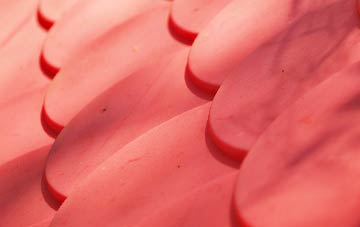 Dullingham Ley plastic roof costs