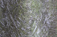 Dullingham Ley fibreglass roof work